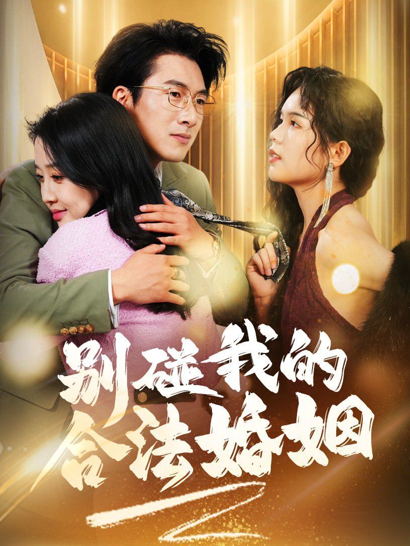 別碰我的合法婚姻（天大地大老婆最大）