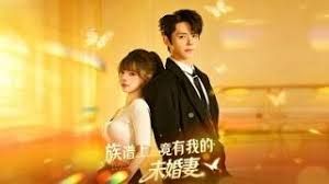 族譜上竟有我的未婚妻
